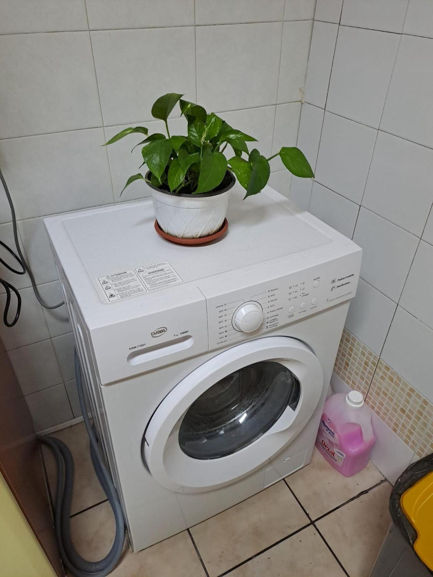 B&B Domus Pina カターニア エクステリア 写真